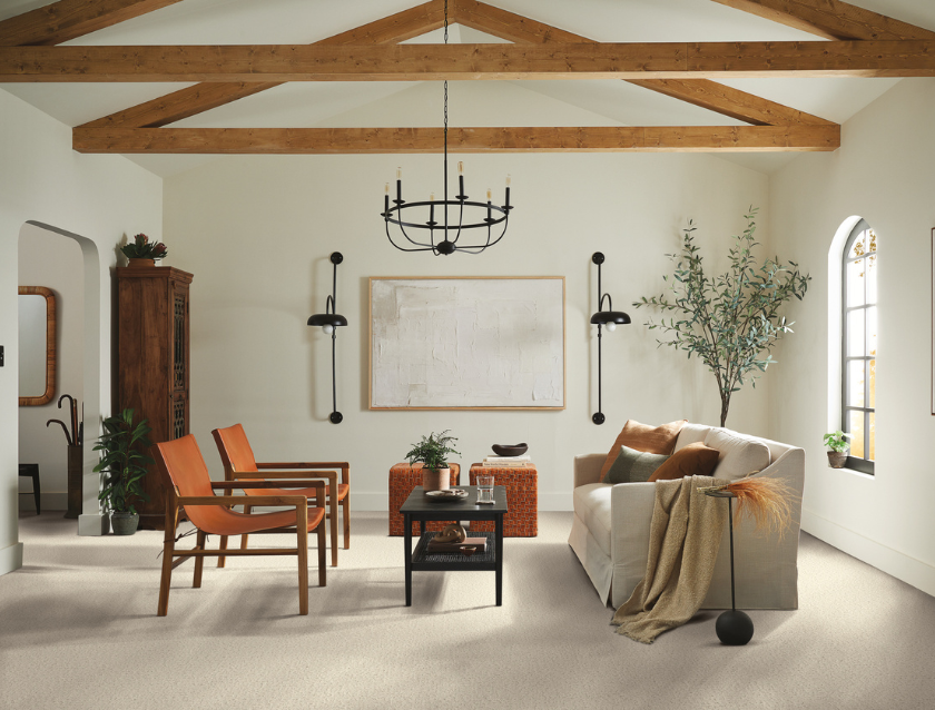 Carpet in a contemporary living room 